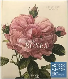 Romantic Roses Romantic Roses