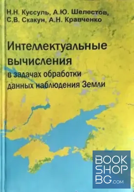 Интеллектуальные вычисления в задачах обработки данных наблюдения Земли