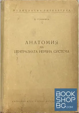 Анатомия на централната нервна система