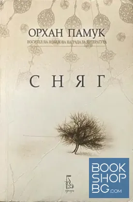 Сняг