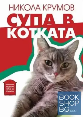 Супа в котката