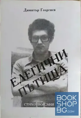 Елегични пътища