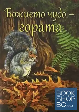 Божието чудо - гората