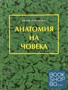 Анатомия на човека