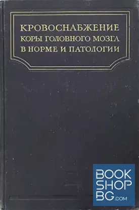 Кровоснабжение коры головного мозга в норме и патологии