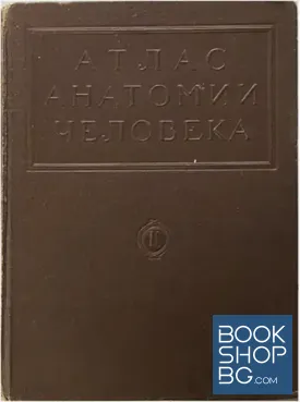 Атлас анатомии человека. Том 2