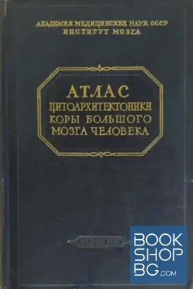 Атлас цитоархитектоники коры большого мозга человека