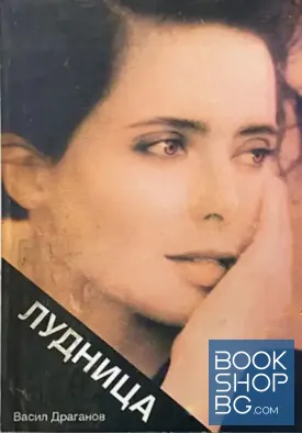 Лудница Лудница