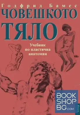 Човешкото тяло