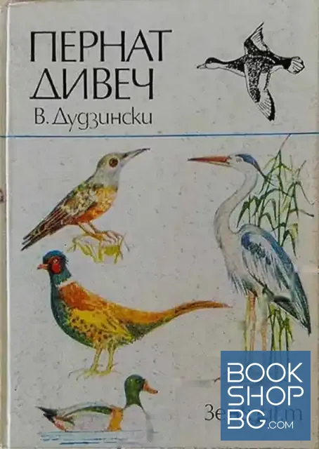 View 1 of Пернат дивеч