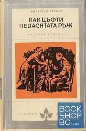 Как цъфти незасятата ръж