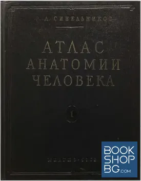 Атлас анатомии человека в двух томах. Том 1