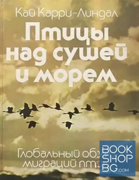 Птицы над сушей и морем