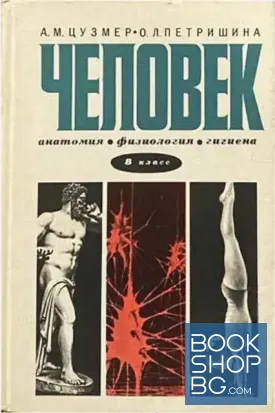 Человек. Анатомия, физиология, гигиена