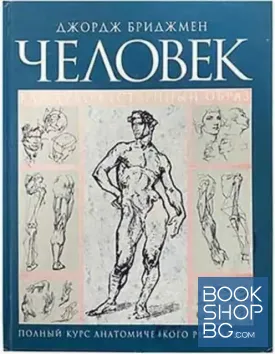 Человек как художественный образ