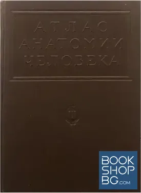 Атлас анатомии человека в пяти томах. Том 3