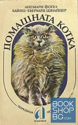 Домашната котка