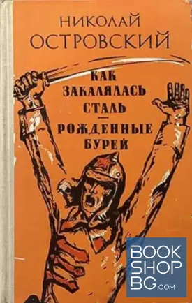 Как закалялась сталь. Рожденные бурей