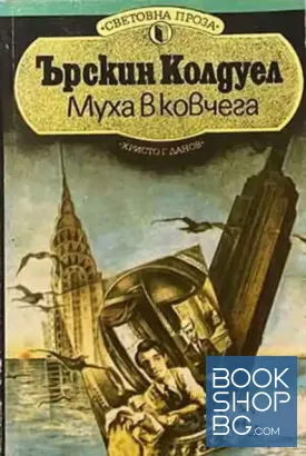 Муха в ковчега