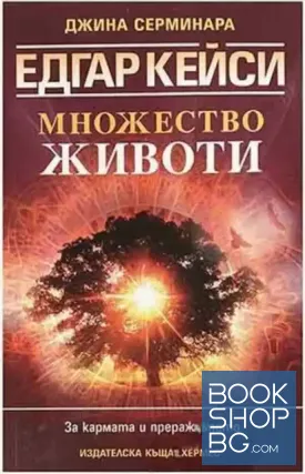 Едгар Кейси: Множество животи