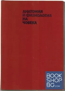 Анатомия и физиология на човека