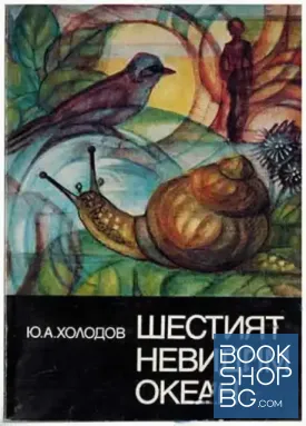 Шестият невидим океан