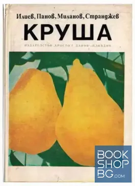 Круша