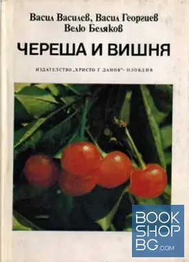 Череша и вишня