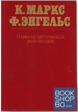 О социалистической революции