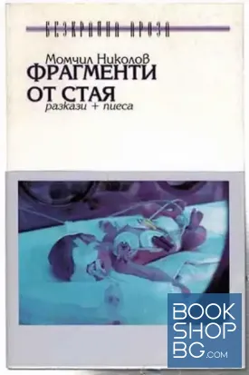 Фрагменти от стая