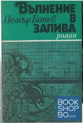 Вълнение в залива