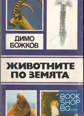 Животните по Земята
